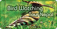 Bird watching tours in nepal